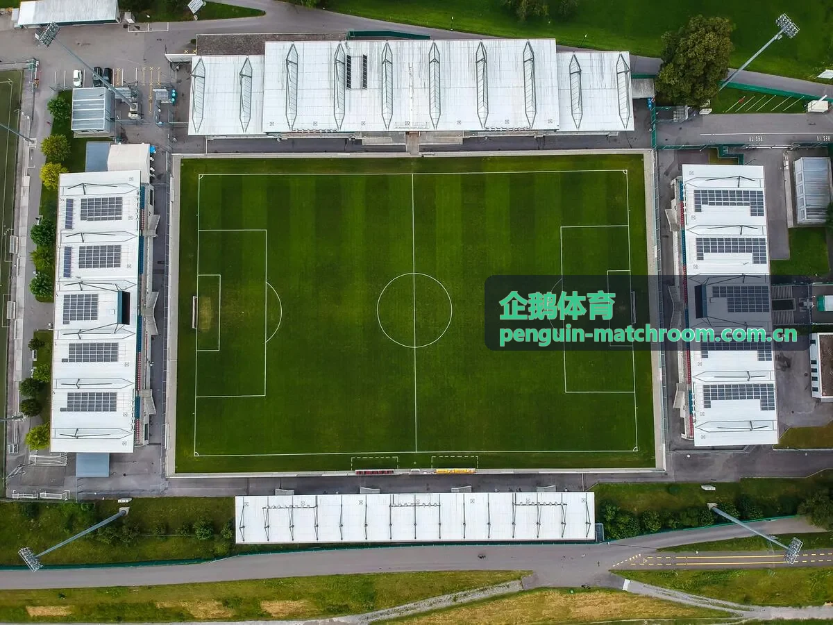 企鹅体育深度专题数据图表配图